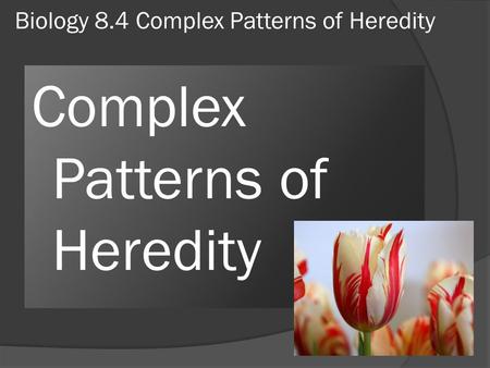 Biology 8.4 Complex Patterns of Heredity