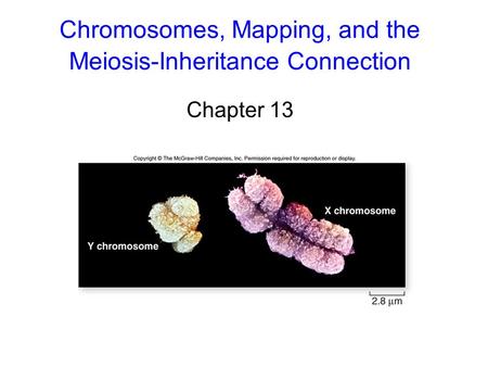 Chromosomes, Mapping, and the Meiosis-Inheritance Connection Chapter 13.