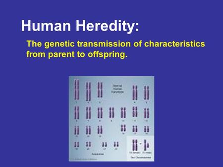 Human Heredity: The genetic transmission of characteristics from parent to offspring.