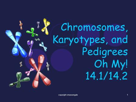 Chromosomes, Karyotypes, and Pedigrees Oh My! 14.1/14.2 1copyright cmassengale.