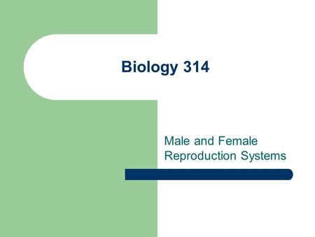 Biology 314 Male and Female Reproduction Systems.