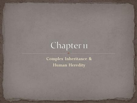 Complex Inheritance & Human Heredity. Basic Patterns of Human Inheritance.