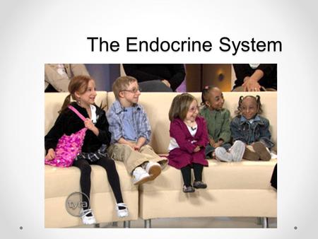 The Endocrine System. Part 1 What is the system? What are hormones? What are the main structures of this system? Describe the basics of hormone chemistry.