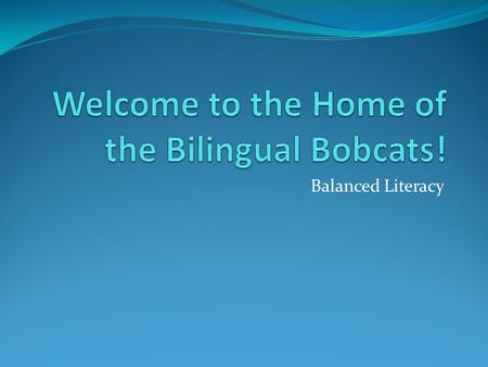 Welcome to the Home of the Bilingual Bobcats!