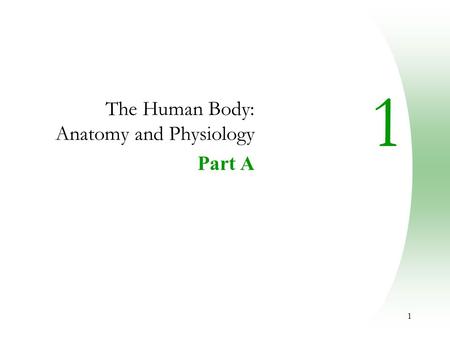 The Human Body: Anatomy and Physiology Part A