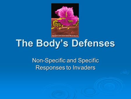 The Body’s Defenses Non-Specific and Specific Responses to Invaders.