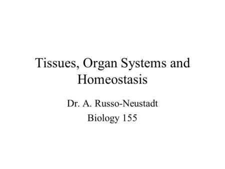 Tissues, Organ Systems and Homeostasis Dr. A. Russo-Neustadt Biology 155.