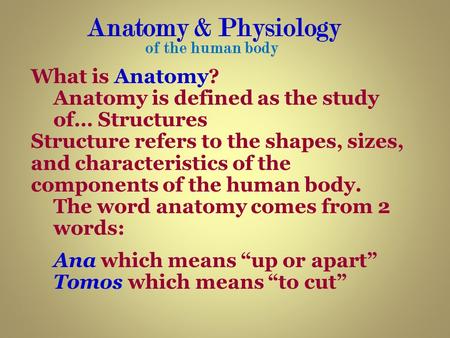 Anatomy & Physiology What is Anatomy?