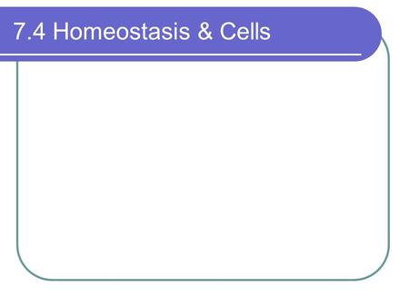 7.4 Homeostasis & Cells.