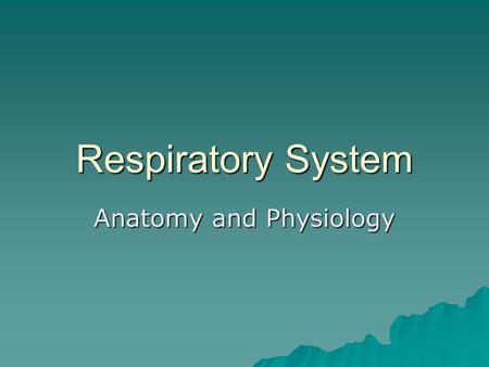 Respiratory System Anatomy and Physiology. Functions  Delivering air to the lungs  Bringing oxygen into the body –Diffuses O 2 from lungs into blood.