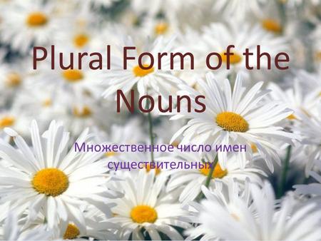 Plural Form of the Nouns Множественное число имен существительных.