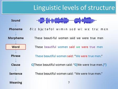 Linguistic levels of structure Sound Phoneme Morpheme Word Phrase Clause Sentence Meaning ð iː z b juː t ə f ʊ l w ɪ m ɪ n s ɛ d w iː w ɜː t r uː m ɛ n.