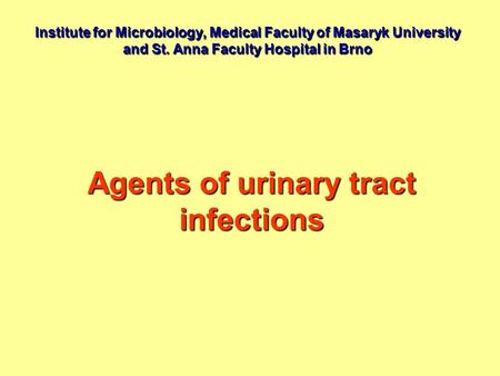 Institute for Microbiology, Medical Faculty of Masaryk University and St. Anna Faculty Hospital in Brno Agents of urinary tract infections.