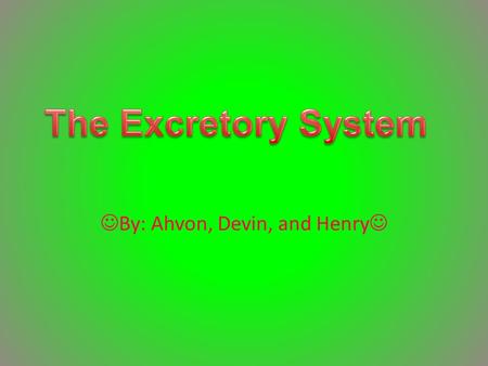 By: Ahvon, Devin, and Henry The Main Function The Main function in your body is the excretory body is to make sure they get rid of something really bad.