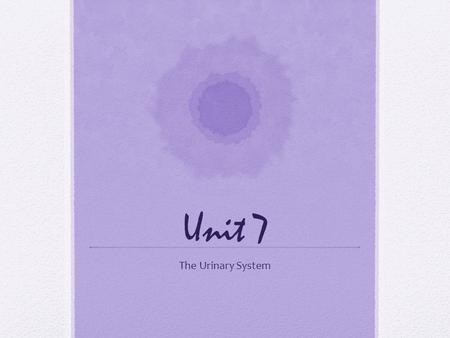 Unit 7 The Urinary System.