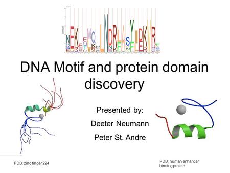 DNA Motif and protein domain discovery