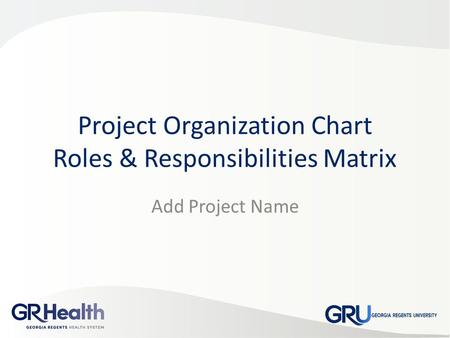Project Organization Chart Roles & Responsibilities Matrix