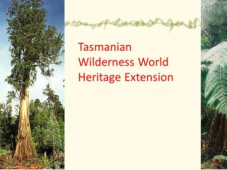 Tasmanian Wilderness World Heritage Extension. The Australian Government has launched an unprecedented campaign to remove 74 000 hectares of forest and.