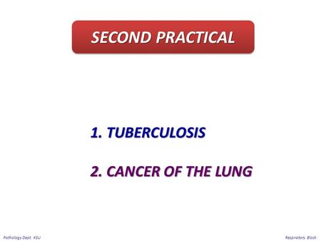 1. TUBERCULOSIS 2. CANCER OF THE LUNG SECOND PRACTICAL Respiratory Block Pathology Dept. KSU.