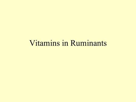 Vitamins in Ruminants. Organic compounds required in trace amounts for biological processes Vital amine Fat soluble –A, D, E, and K –Absorbed with lipids.