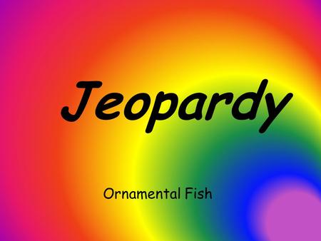 Jeopardy Ornamental Fish.