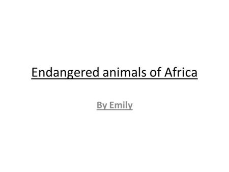 Endangered animals of Africa By Emily. Rhinoceros.