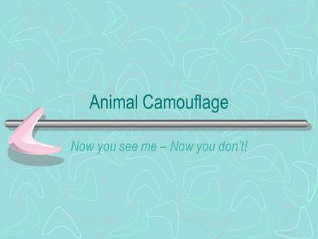 Animal Camouflage Now you see me – Now you don’t!.