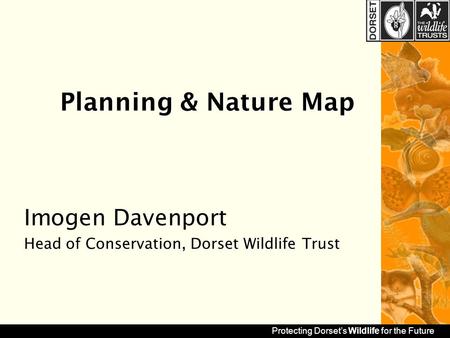 Protecting Dorset’s Wildlife for the Future Planning & Nature Map Imogen Davenport Head of Conservation, Dorset Wildlife Trust.