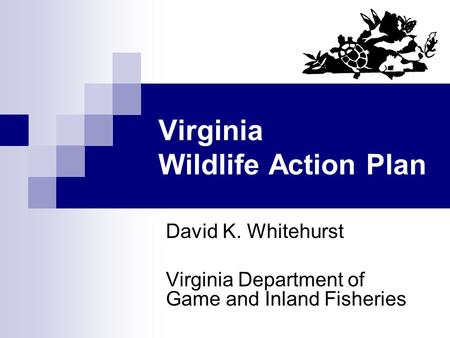 Virginia Wildlife Action Plan David K. Whitehurst Virginia Department of Game and Inland Fisheries.