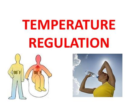 Temperature Regulation