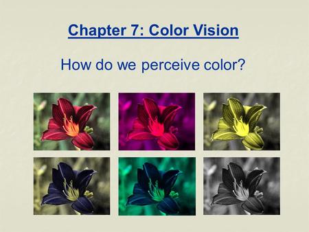Chapter 7: Color Vision How do we perceive color?.
