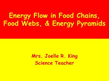 Energy Flow in Food Chains, Food Webs, & Energy Pyramids
