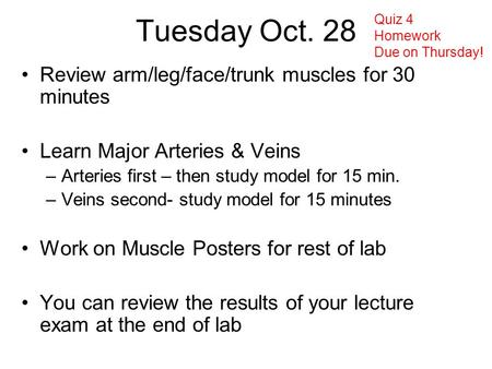 Tuesday Oct. 28 Review arm/leg/face/trunk muscles for 30 minutes