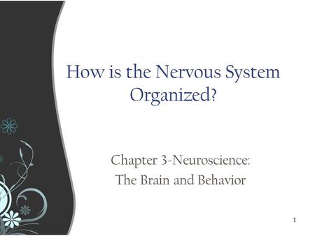 1 11 How is the Nervous System Organized? Chapter 3-Neuroscience: The Brain and Behavior.