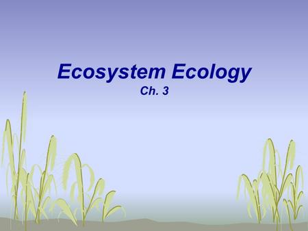 Ecosystem Ecology Ch. 3.