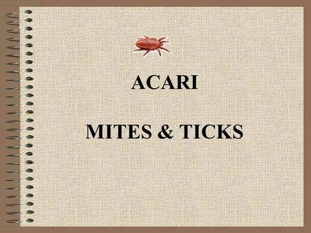 ACARI MITES & TICKS.