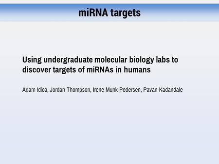 MiRNA targets Using undergraduate molecular biology labs to discover targets of miRNAs in humans Adam Idica, Jordan Thompson, Irene Munk Pedersen, Pavan.