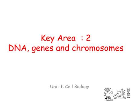Key Area : 2 DNA, genes and chromosomes Unit 1: Cell Biology.