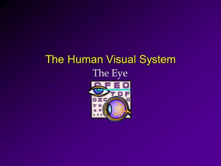 The Human Visual System The Eye. Anatomy of the Human Eye Cornea Pupil Iris Sclera Retina Optic Nerve Lens.