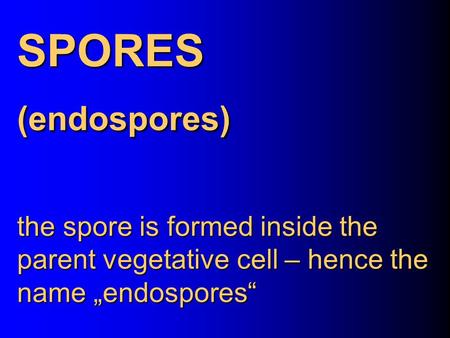 SPORES (endospores) the spore is formed inside the parent vegetative cell – hence the name „endospores“