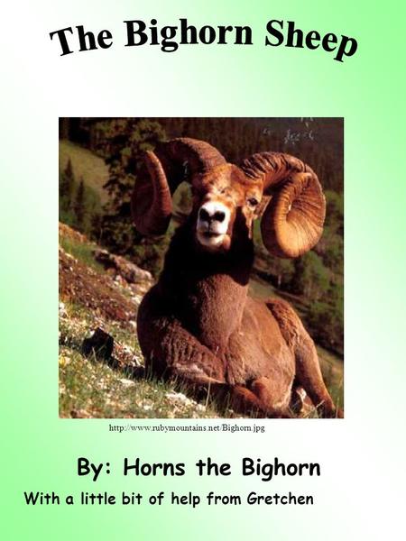 By: Horns the Bighorn With a little bit of help from Gretchen.