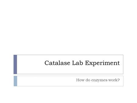 Catalase Lab Experiment How do enzymes work?. Pre-Lab Questions  What is an enzyme? What is a catalyst?  Enzyme - a protein that breaks down or creates.