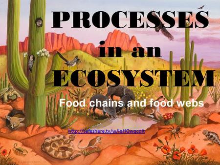 Processes in an Ecosystem PROCESSES in an ECOSYSTEM Food chains and food webs