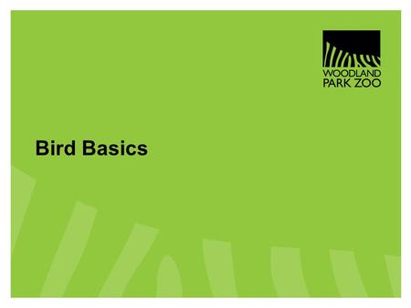 Bird Basics.