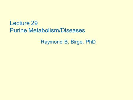 Purine Metabolism/Diseases