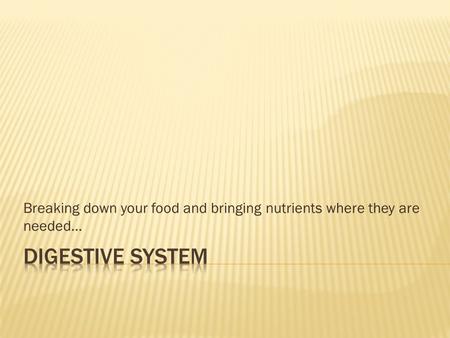 Breaking down your food and bringing nutrients where they are needed…