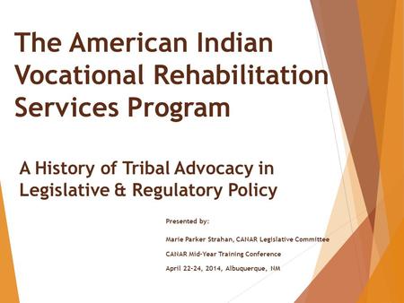 The American Indian Vocational Rehabilitation Services Program