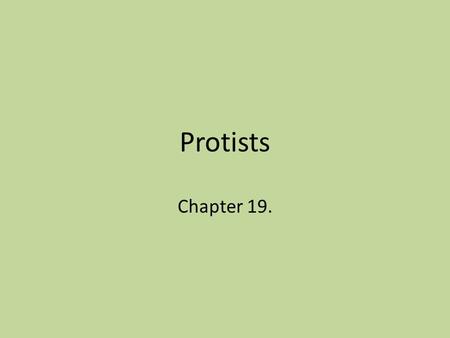 Protists Chapter 19..
