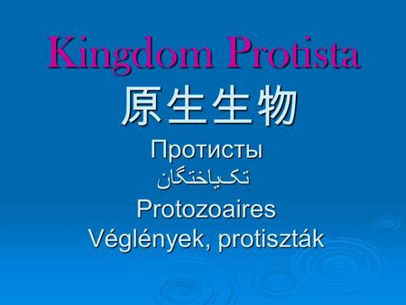 Kingdom Protista 原生生物 Протисты تک‌یاختگان Protozoaires Véglények, protiszták.