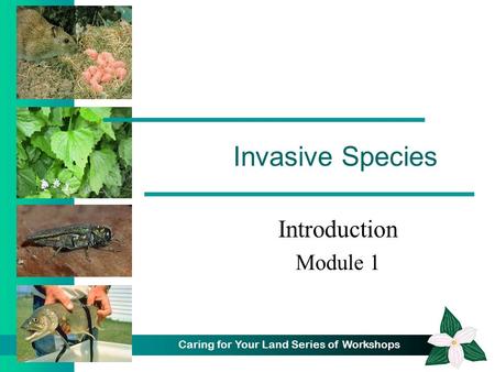 Caring for Your Land Series of Workshops Invasive Species Introduction Module 1.